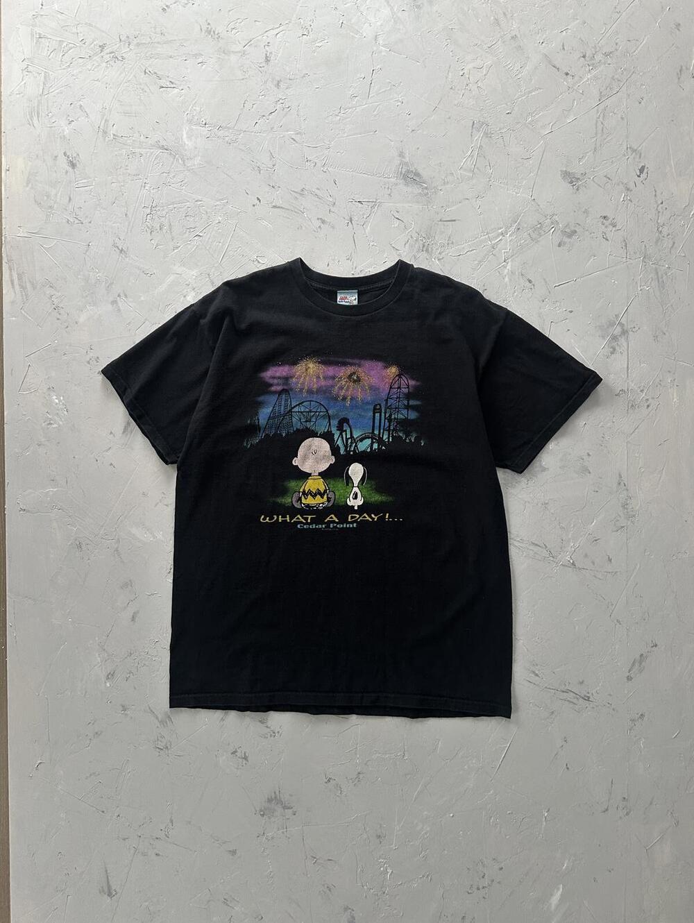Vintage 90's Snoopy Peanuts what a day Cedar Point tee
